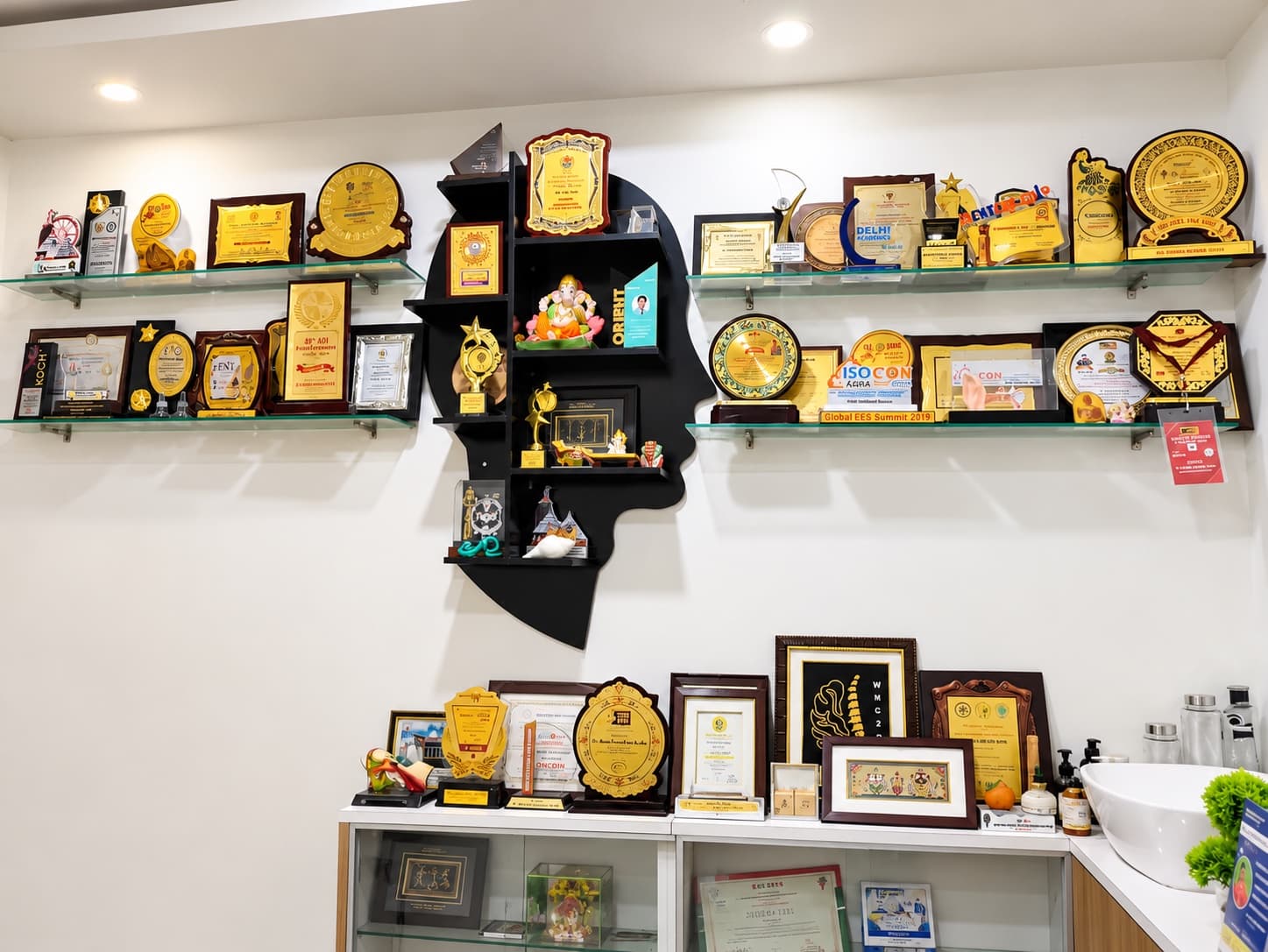 Dr. Radhamadhab Sahu Consultation Chamber & Head Silhouette Awards Wall